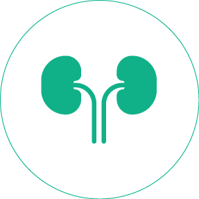 Nephrology